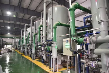 High-Quality Plantago Seed Extract to Clear Liver and Improve Eyesight