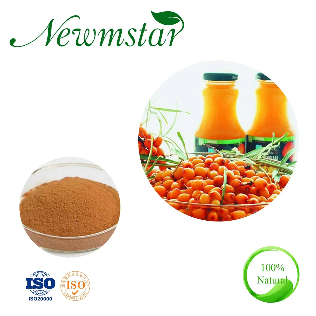 Enhance The Immune Function Sea Buckthorn Juice Powder
