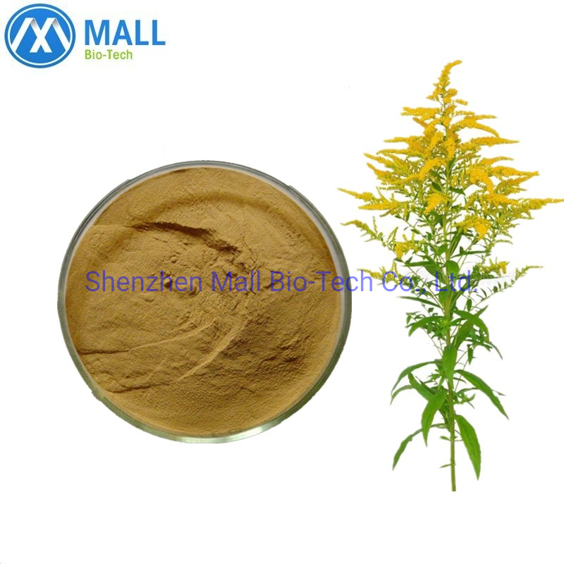 High Quality Solidago Virgaurea Goldenrod Dry Extract