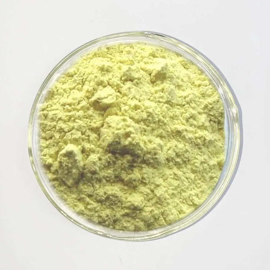 High Quality Sophora Japonica Extract Isoquercitrin 98%CAS 482-35-9