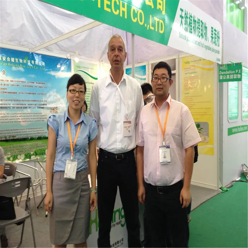 High Quality Tongkat Ali Extract Powder 1%-12% Eurycomanone