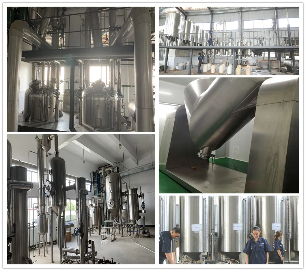 High Quality Tongkat Ali Extract Powder 1%-12% Eurycomanone