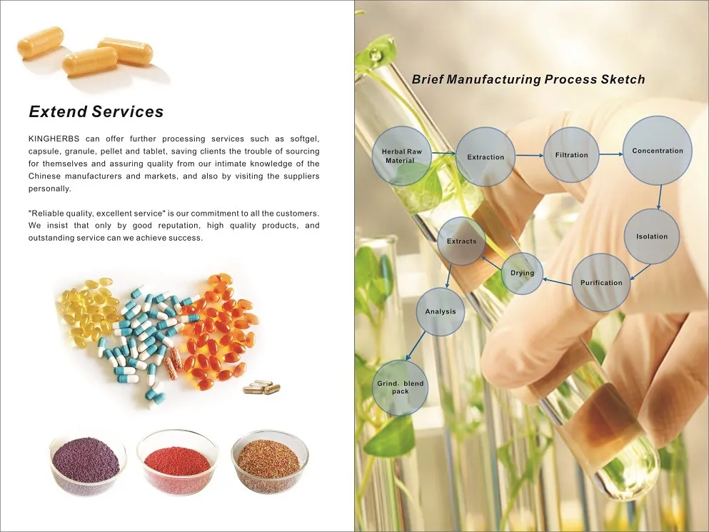 High Quality Zingiber Zerumbet Extract Zerumbone 98% by HPLC