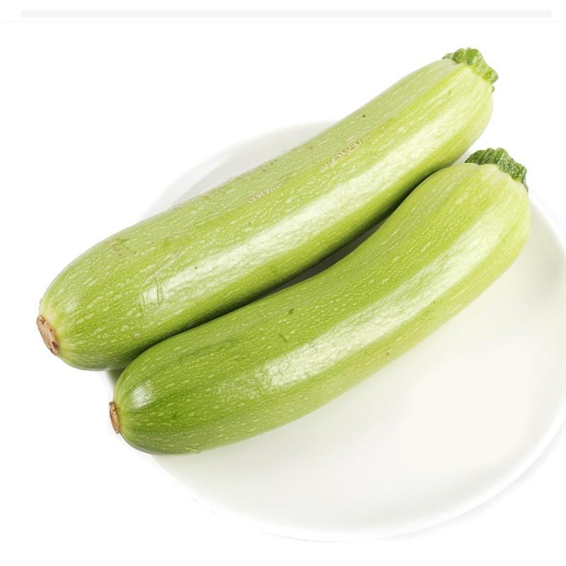 High Standard 4: 1~20: 1 Zucchini Extract