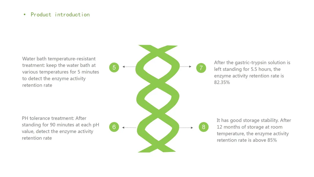 High-Temp Phytase/Animal Feed Additive/Enzyme