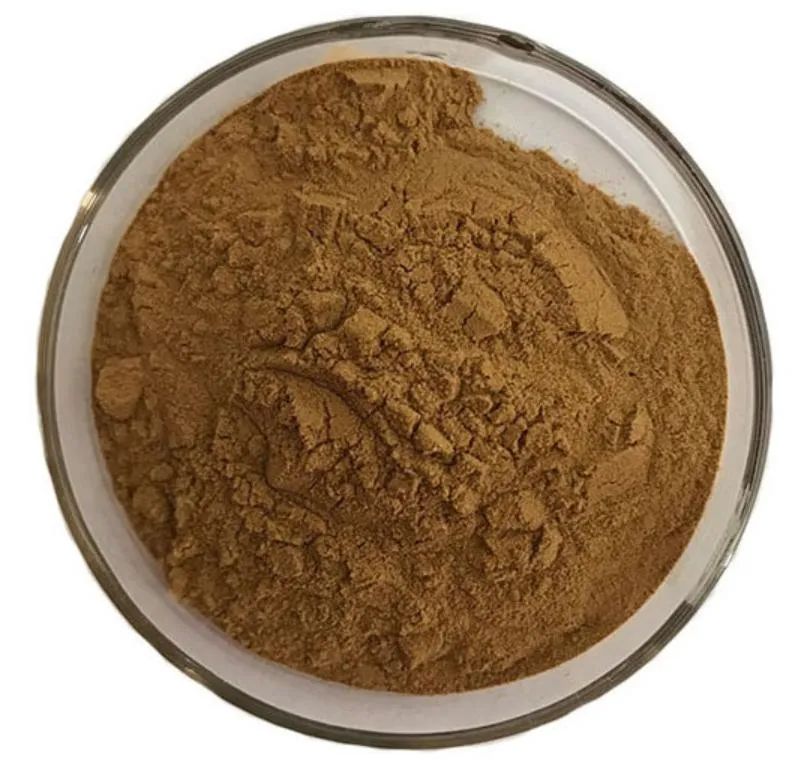 Honeysuckle Flower Extract Powder Chlorogenic Acid Honeysuckle Extract