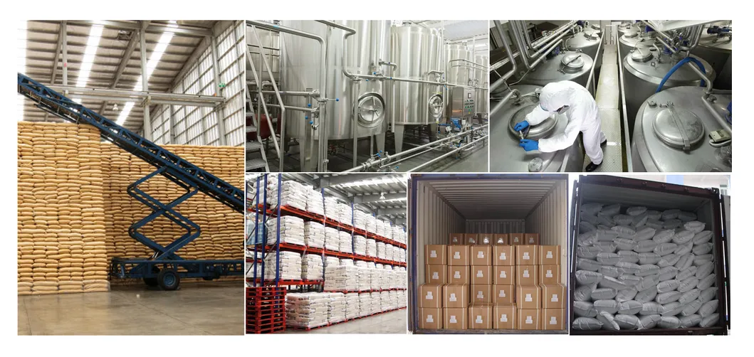 Hordenine Hydrochloride CAS No. 6027-23-2 for Curing Diabetes Mellitus Health Care Products