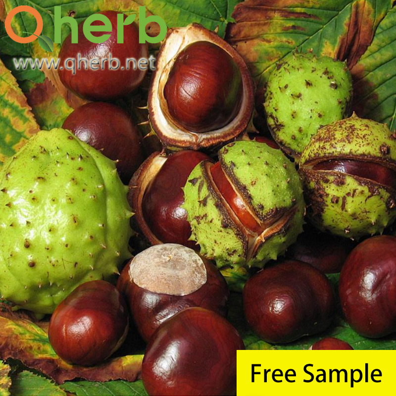 Horse Chestnut Extract 20% Aescins