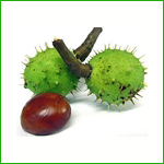 Horse Chestnut Extract Aescin on Sell