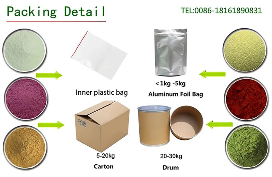 Hot Sale 100% Natural Angelica Dahrica P. E.