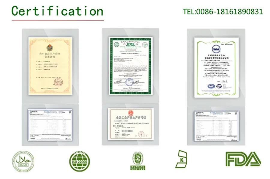 Hot Sale 100% Natural Angelica Dahrica P. E.