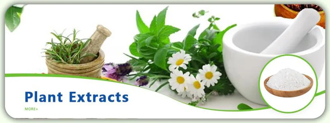 Hot Sale 98% CAS 471-53-4 Glycyrrhetic Acid Powder Glycyrrhetic Acid