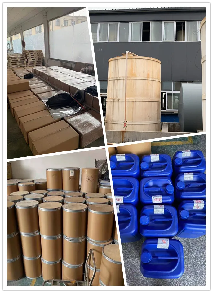 Hot Sale CAS 501-36-0 Resveratrol 98% Polygonum Cuspidatum Extract Resveratrol 98%