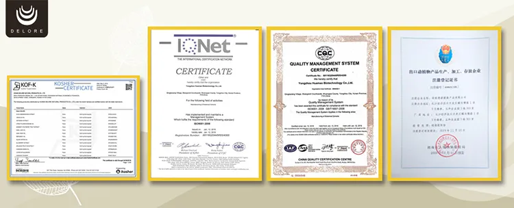 Hot Sale Citrus Aurantium Extract Hesperetin Bitter Orange Extract High Quality Pure Natural Improve Immunity Citrus Aurantium Extract Hesperidin Price