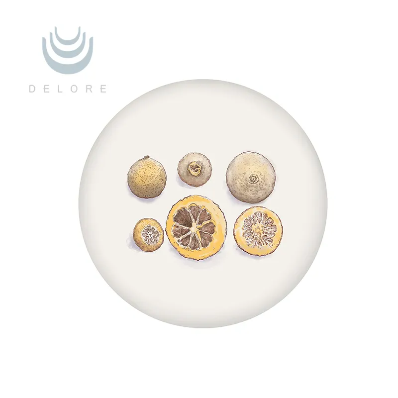 Hot Sale Citrus Aurantium Extract Hesperetin Bitter Orange Extract High Quality Pure Natural Improve Immunity Citrus Aurantium Extract Hesperidin Price