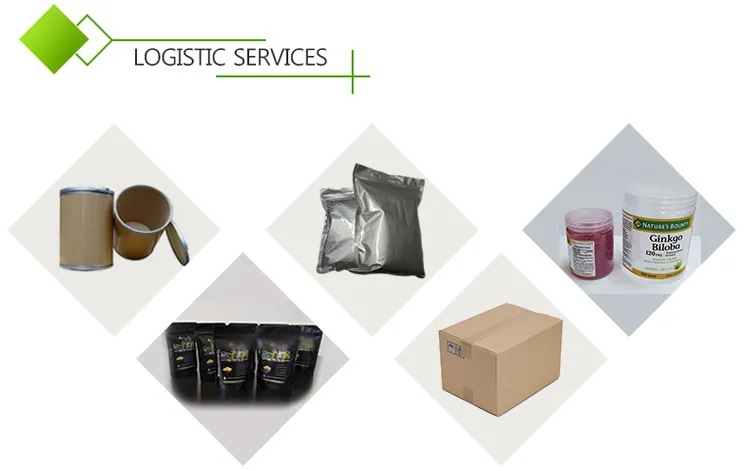 Hot Sale Ligustilide Dong Quai Angelica Sinensis Root Extract Powder