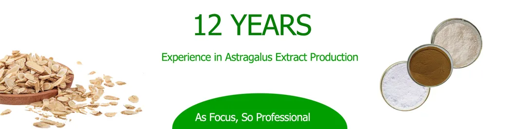 Hot Selling Astragalus Extract 0.3% Calycosin-7-O-Beta-D-Glucoside