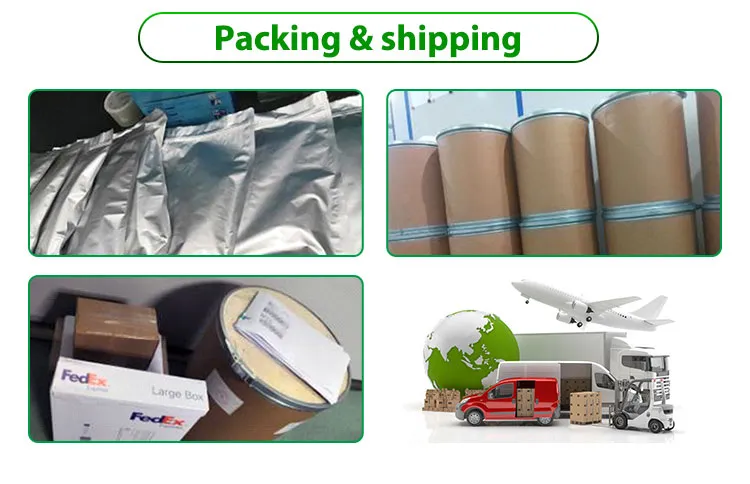 Hot Selling Astragalus Extract 0.3% Calycosin-7-O-Beta-D-Glucoside