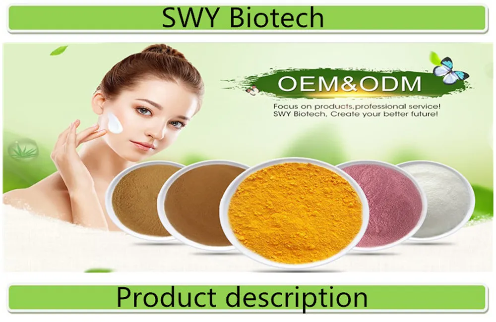 Hot Selling Cirsium Arvense Extract Powder