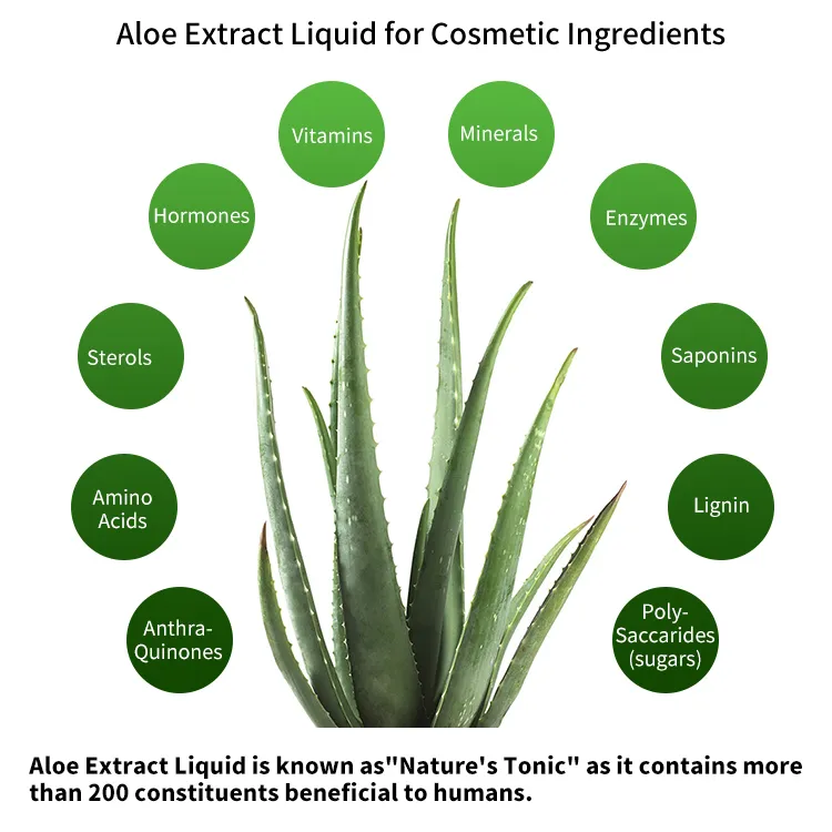Immunity Supplement Beauty Supply Cosmetics Soothing Moisturizing Aloe Vera Extract Liquid