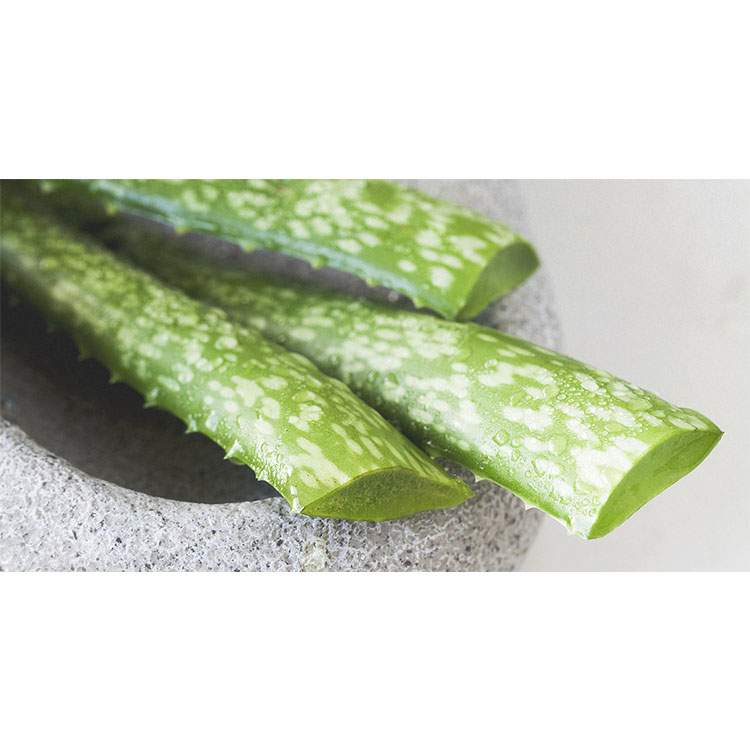 Immunity Supplement Beauty Supply Cosmetics Soothing Moisturizing Aloe Vera Extract Liquid