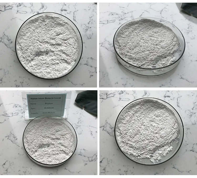 Insen Supply Best Price Phytase Enzyme