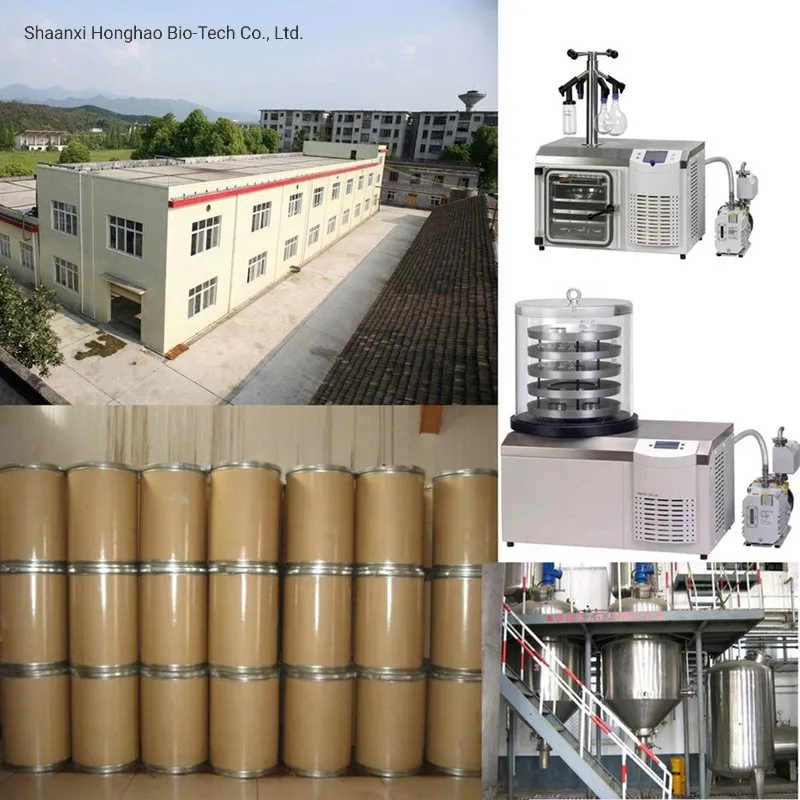 ISO/Brc/Halal/Kosher Certified Saw Palmetto Extract