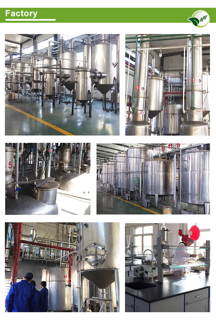 ISO/Brc/Halal/Kosher Certified Saw Palmetto Extract