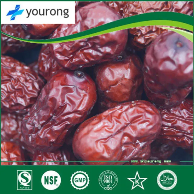 ISO Certificated Jujube Extract with Factory Price, Plant Extract, Organic Powder