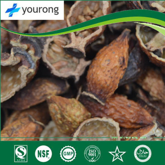 ISO Certificated Manufacturer Supply 100% Natural Fructus Rosae Laevigatae Extract with Factory Price