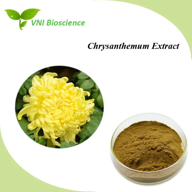 ISO Certified 100% Natural Flos Chrysanthemi Extract Chrysanthemum Extract