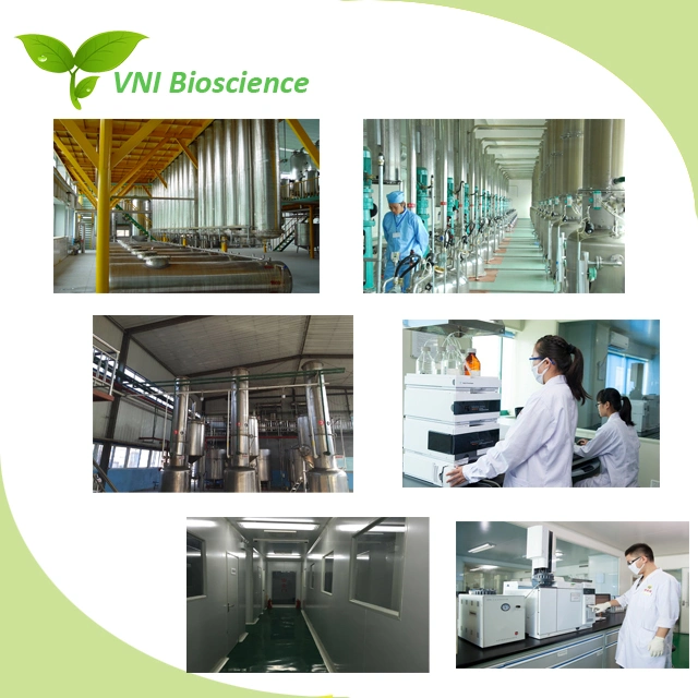 ISO Certified 100% Natural Phlorizin Powder Apple Extract Lower The Risk of Colon and Lung Cancer