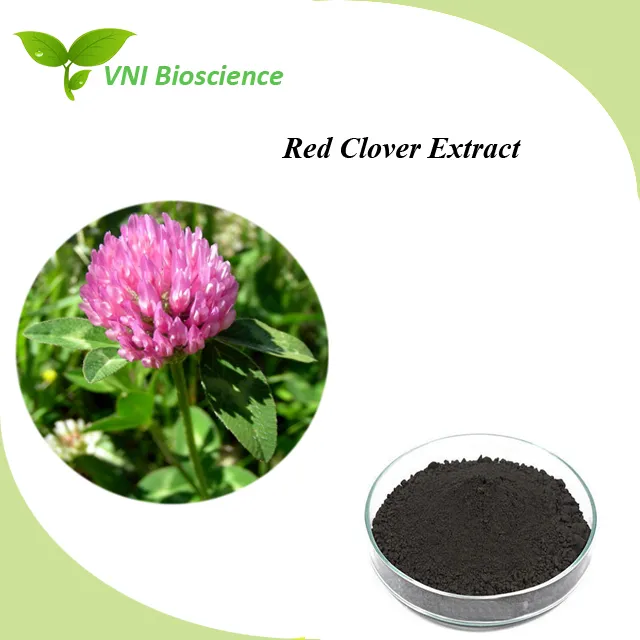 ISO Certified 100% Natural Trifolium Pratense L/ Red Clover Extract