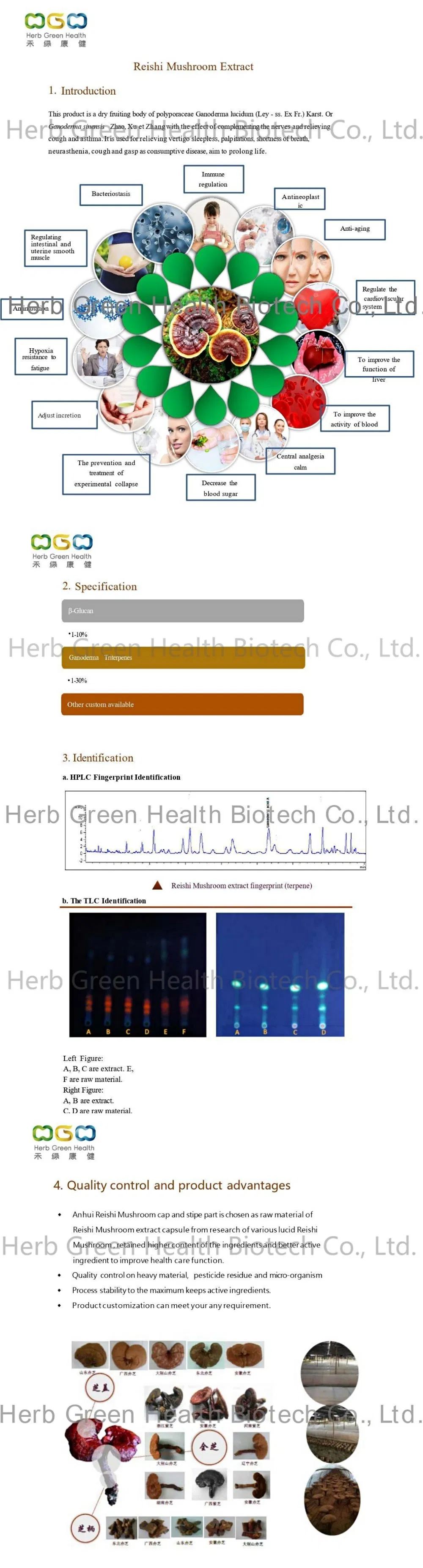 ISO Certified Factory Food Additive Reishi Mushroom Extract