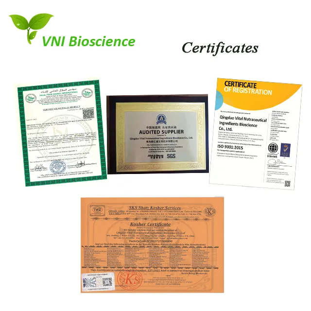 ISO Certified Manufacturer Supply Natural Pine Bark Extract