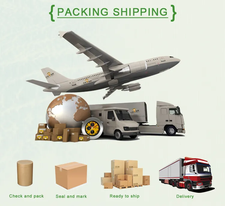 ISO HACCP Certified IVY Leaf Extract Hedera Helix 10: 1 Treatment as Scabies, Lice and Sunburn