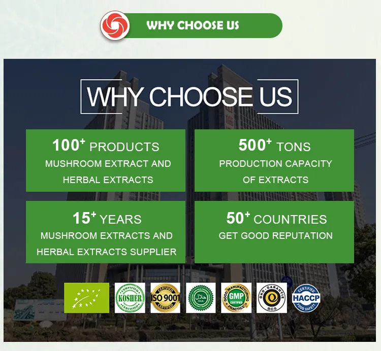 ISO HACCP Certified Soy Isoflavones Daidzein Soybean Extract