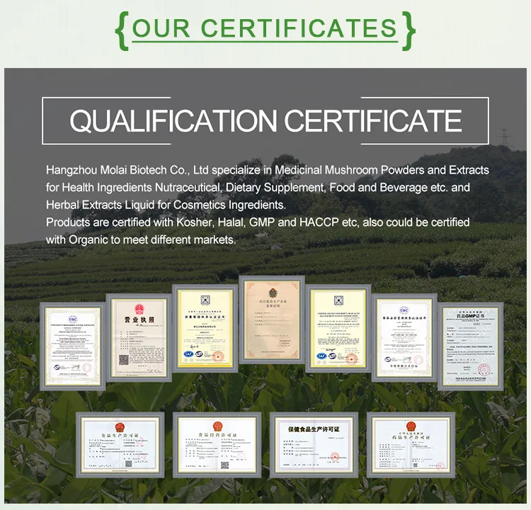 ISO HACCP Certified Soy Isoflavones Daidzein Soybean Extract