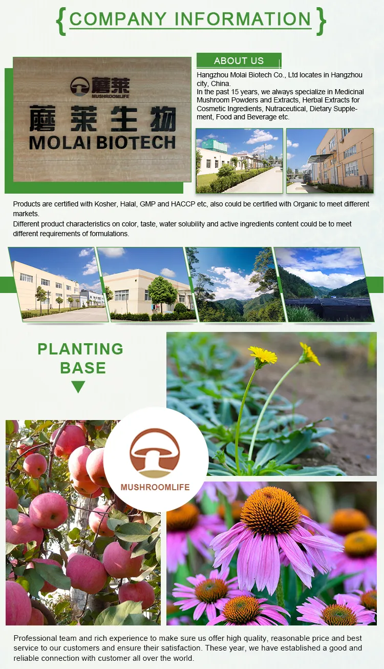 ISO HACCP Certified Soy Isoflavones Daidzein Soybean Extract