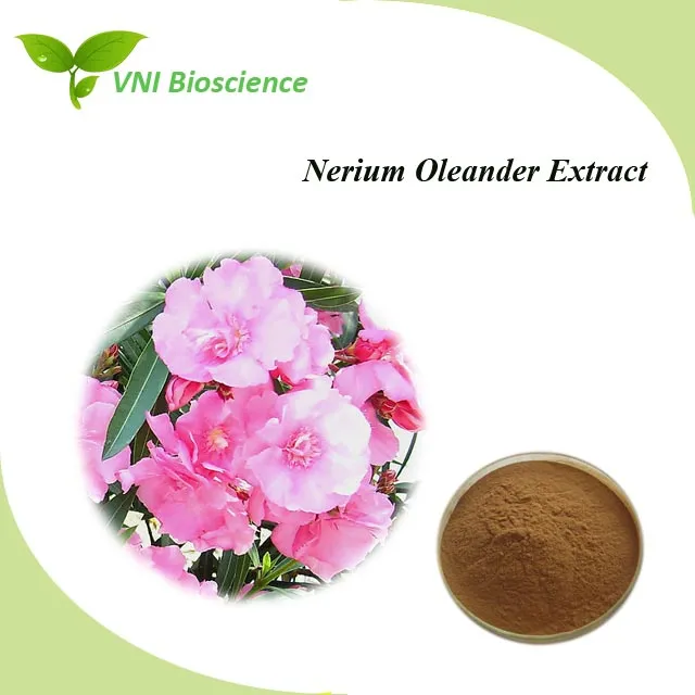 ISO & Kosher Certified 100% Natural Nerium Indicum Oleander Extract