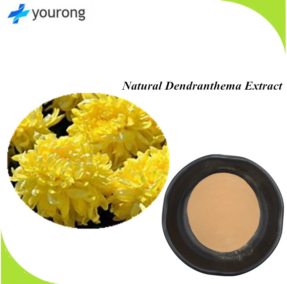 ISO SGS Certificated Chrysanthemum Morifoliumramat. Extract Powder