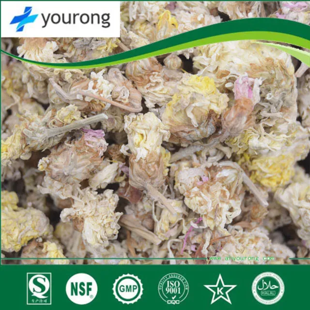 ISO SGS Certificated Chrysanthemum Morifoliumramat. Extract Powder