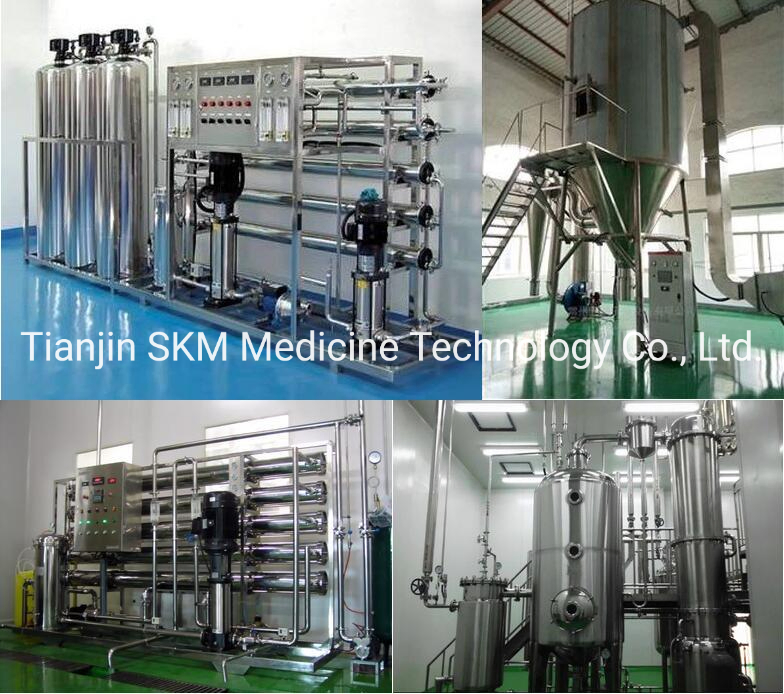 ISO SGS Certified Holy Basil Extract/Ocimum Sanctum Extract