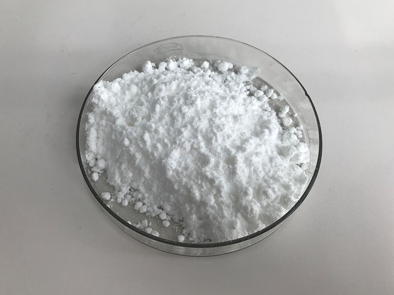 ISO Supplier Probiotic Bifidobacterium Lactis