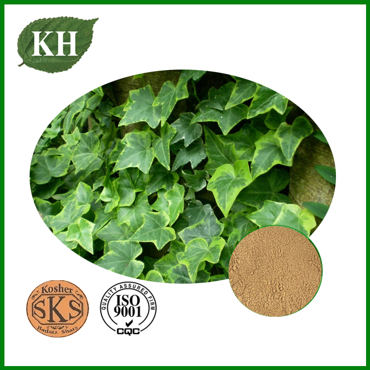 IVY Extract Hederacoside C 10%, 20% by HPLC