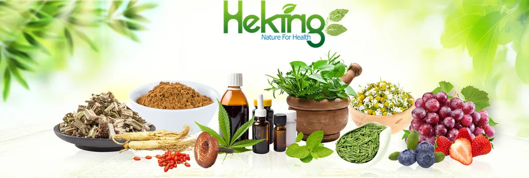 Kavalactones 30% 70% Kavakavaresin Kawa Extract Kava Root P. E.