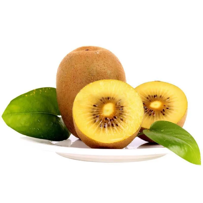 Kiwi Fruit Powder Extract / Actinidia Chinensis/Fructus Actinidiae Chinensis.