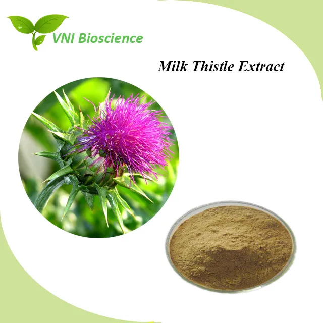 Kosher Certified 80% Silymarin 30% Silybin Isosilybin Milk Thistle Extract