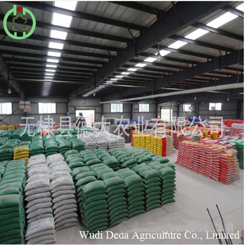 L-Lysine Feed Additives Animal Feed