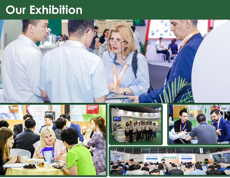 Licorice Extract Monoammonium Glycyrrhizinate/ Ammonium Glycyrrhizinate/ Mono-Ammonium Glycyrrhizinate